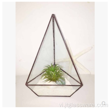 Hộp trồng cây thủy tinh vuông phong cách Terrarium